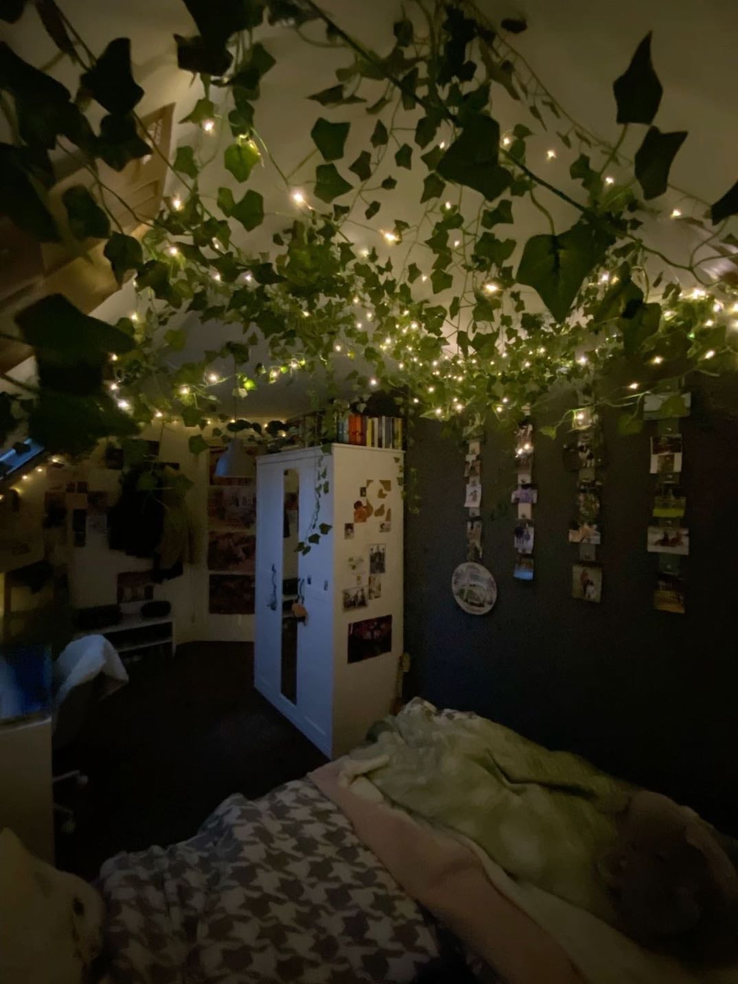 ⋆ vines on ceiling