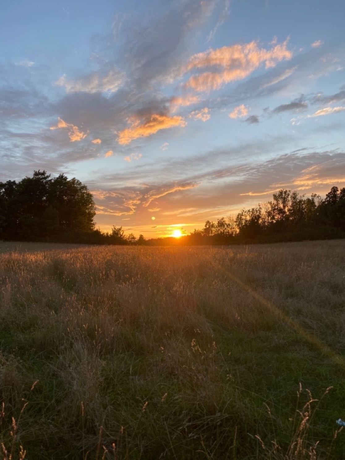 sunset watching