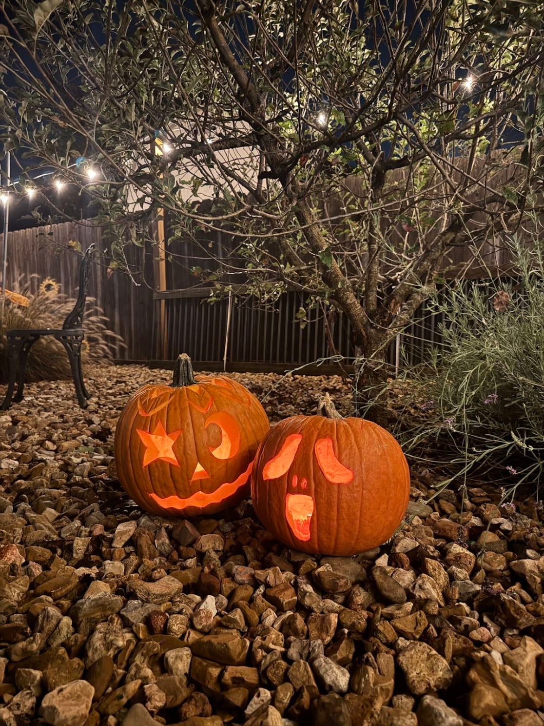 carve pumpkins