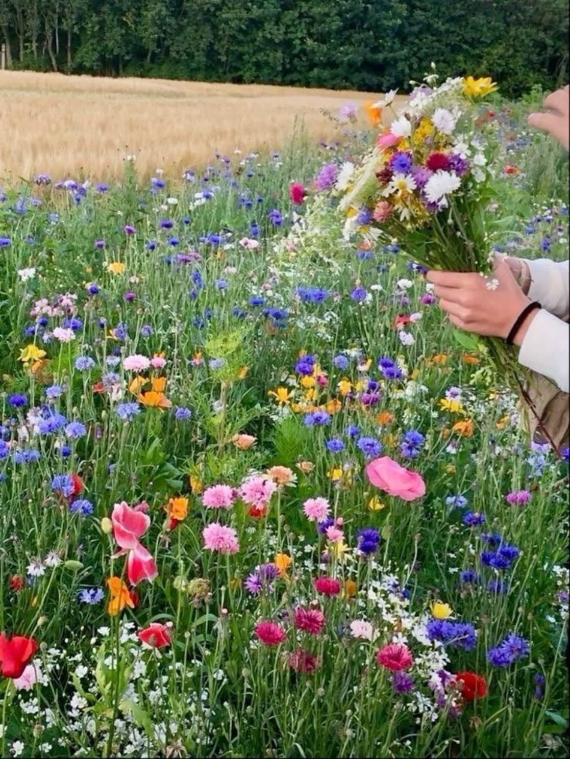 flower picking