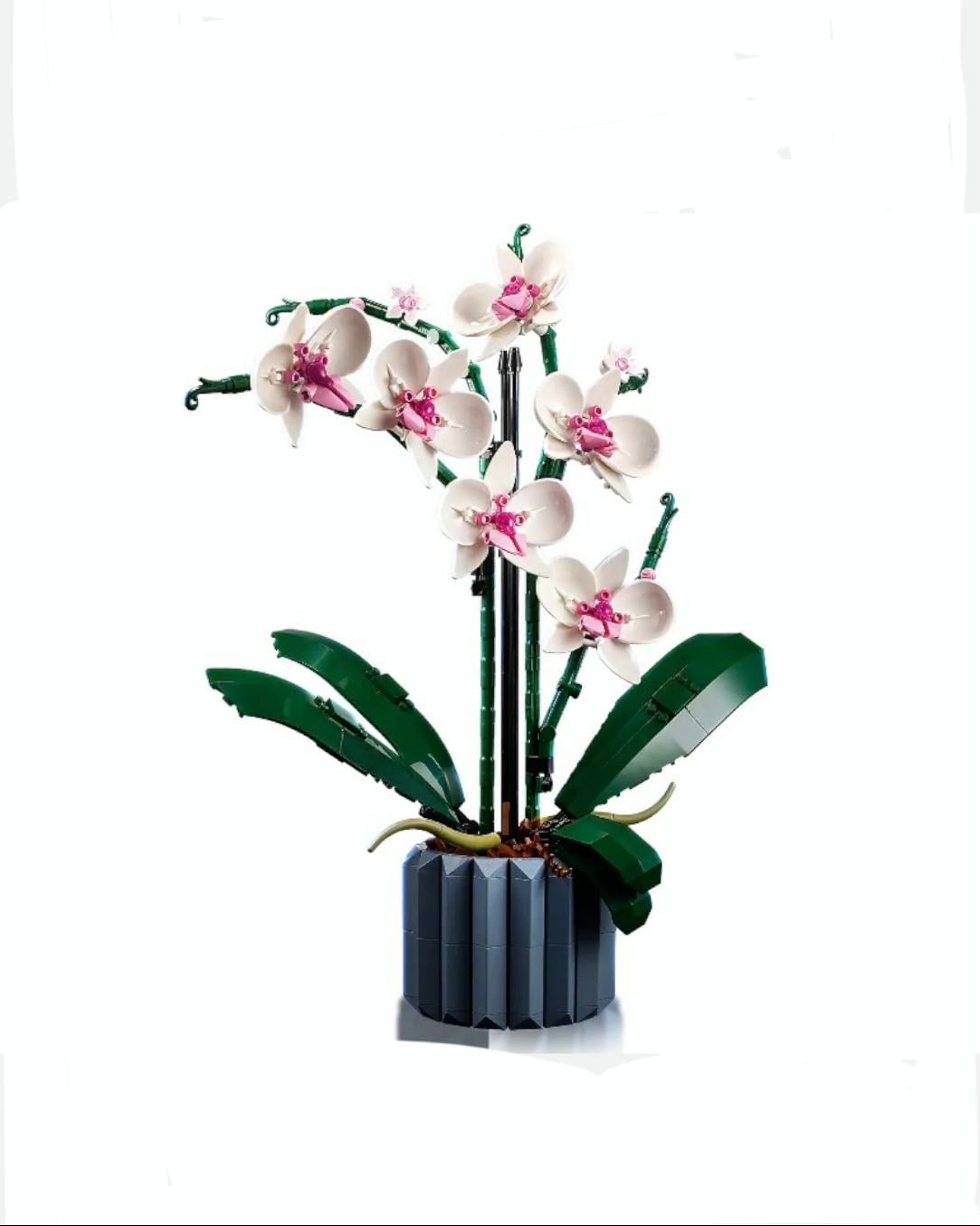 🧱 Lego - Orchid