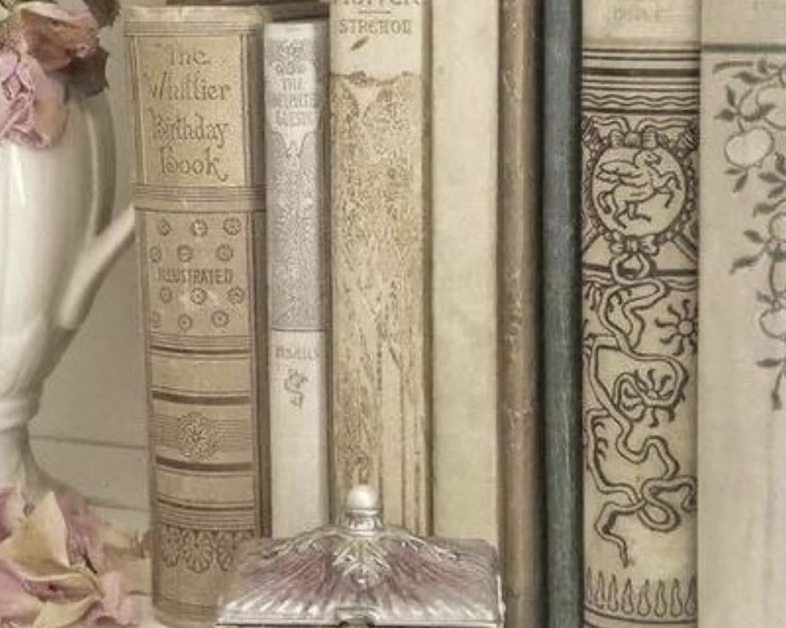 books that i love 🕯️