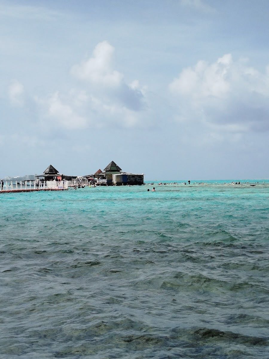 El acuario