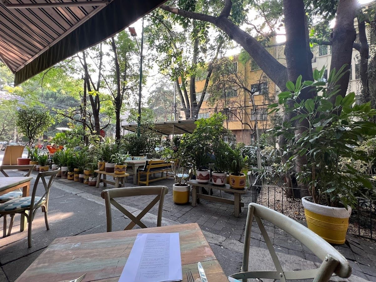 Café Toscano Polanco - Me encantó la estética y la comida obvio