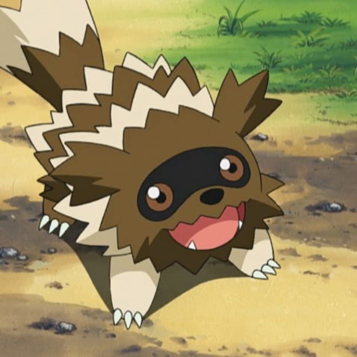 Zigzagoon