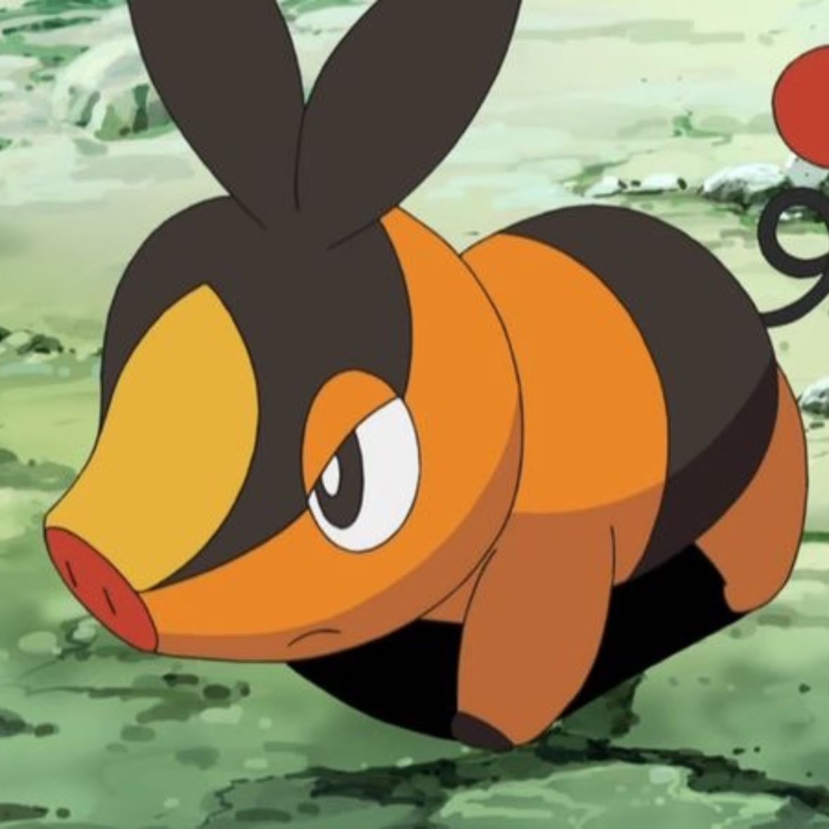 Tepig