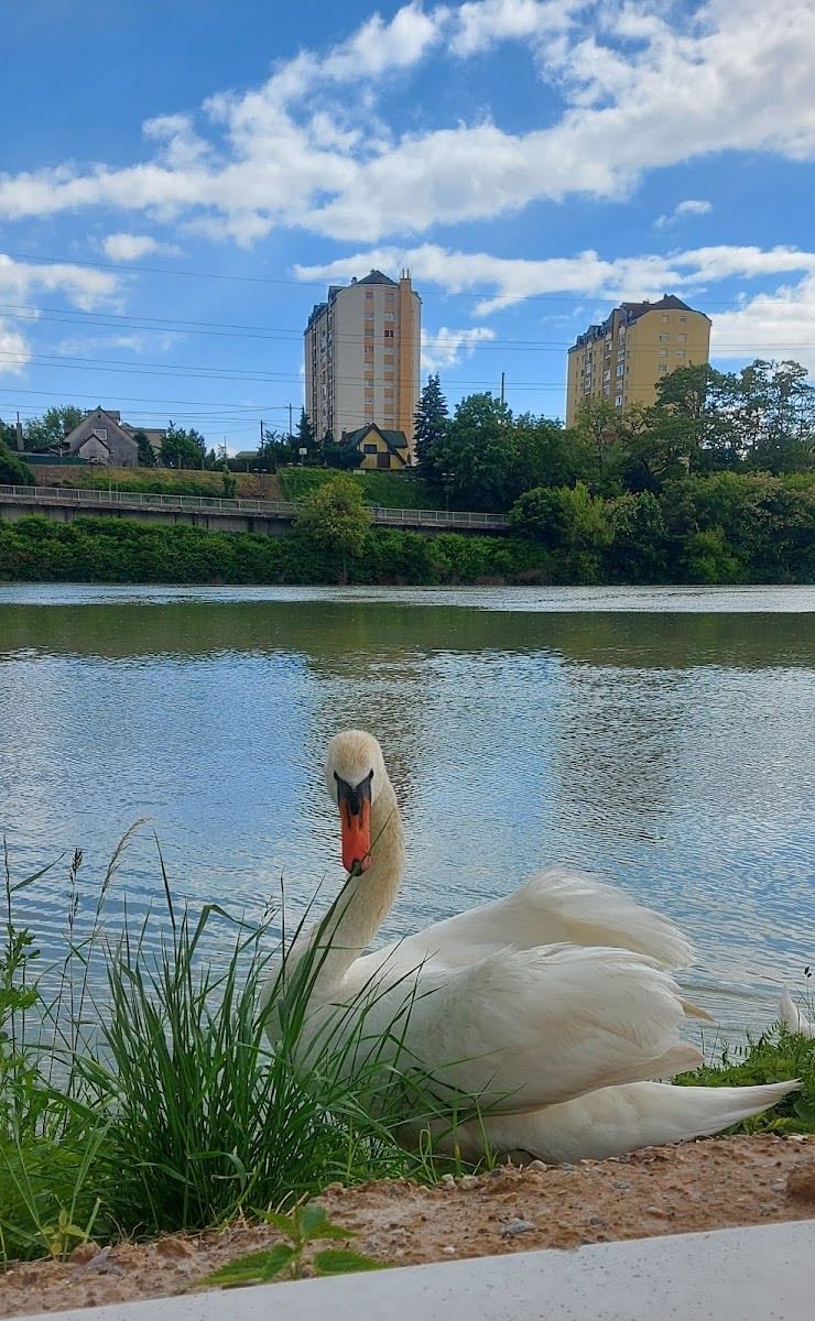 Maribor - home