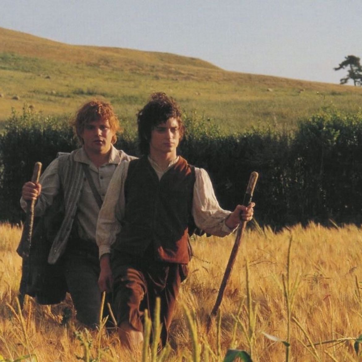 The Lord of the Rings: The Fellowship of the Ring - Peter Jackson · 2001