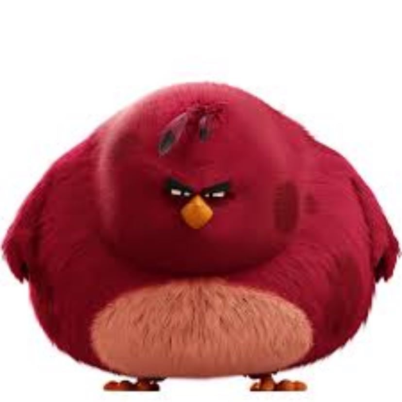 Terence
