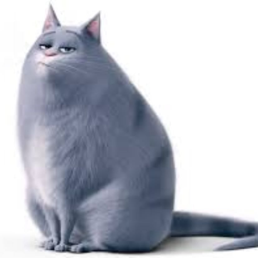Chloe