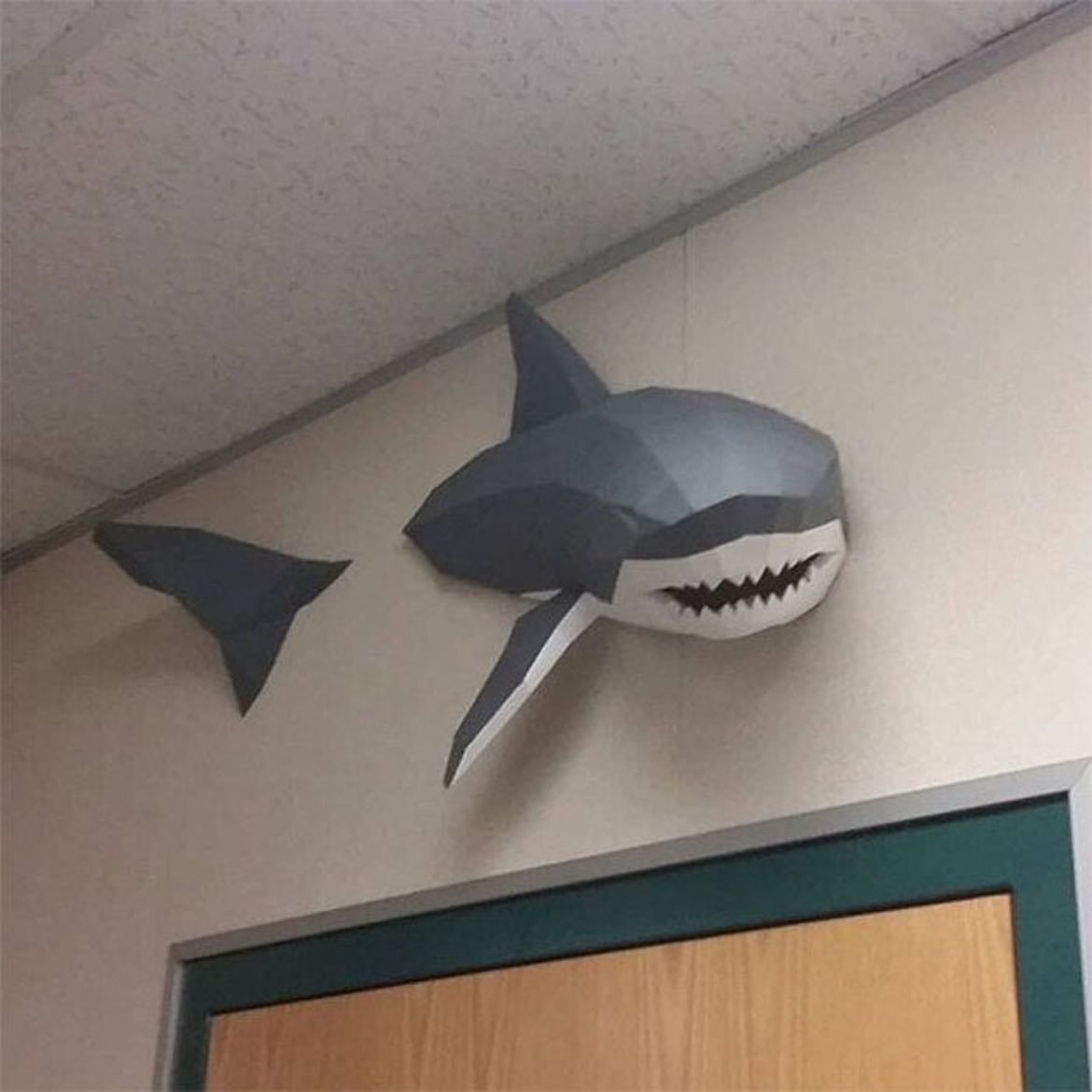Tiburón pared