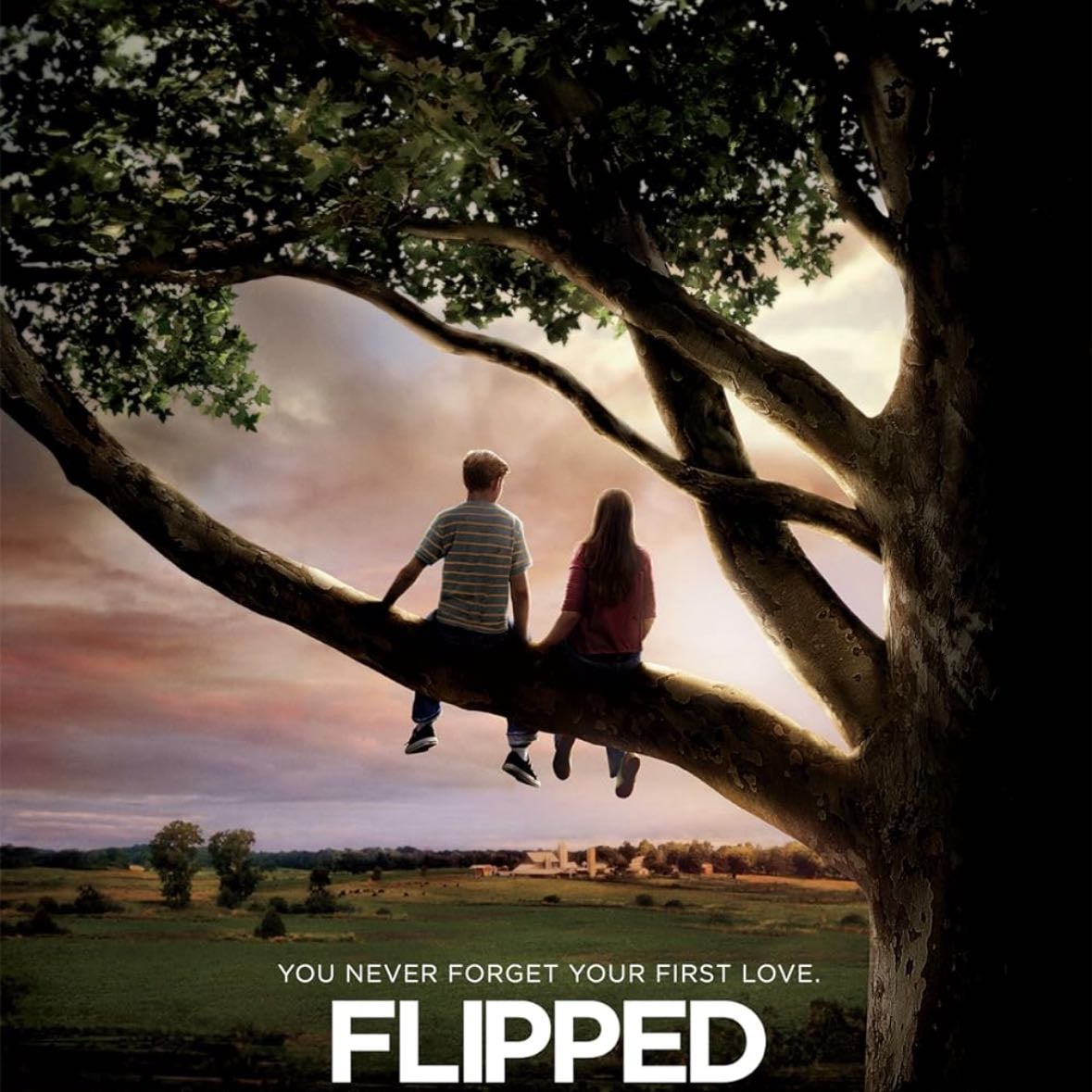 Flipped - Rob Reiner · 2010