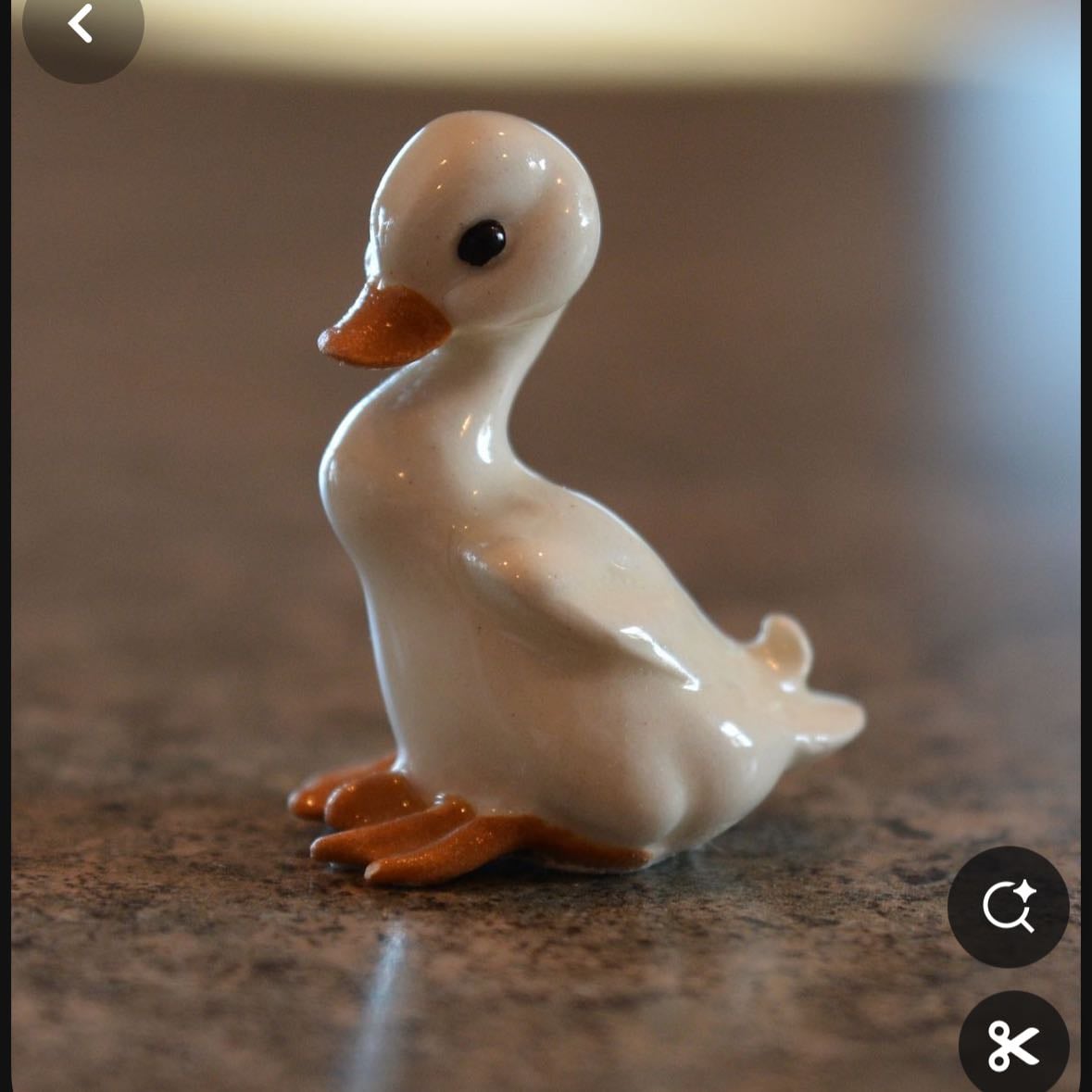 Pato