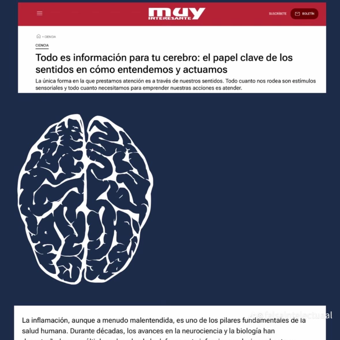 Todo es informaciĂłn para tu cerebro