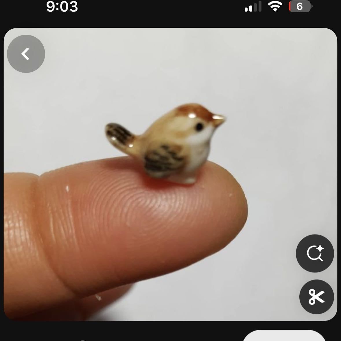 Pajarito