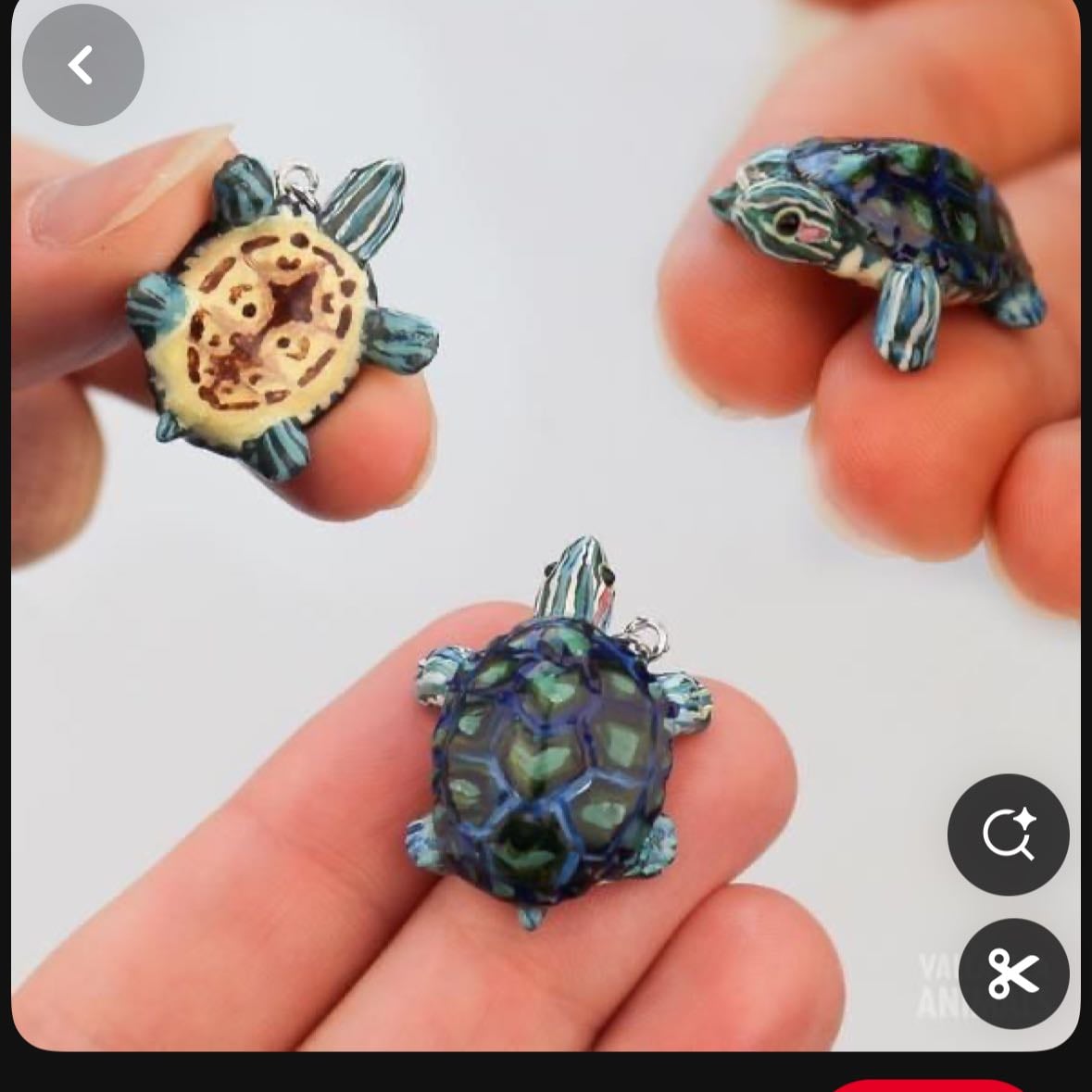 Tortuga