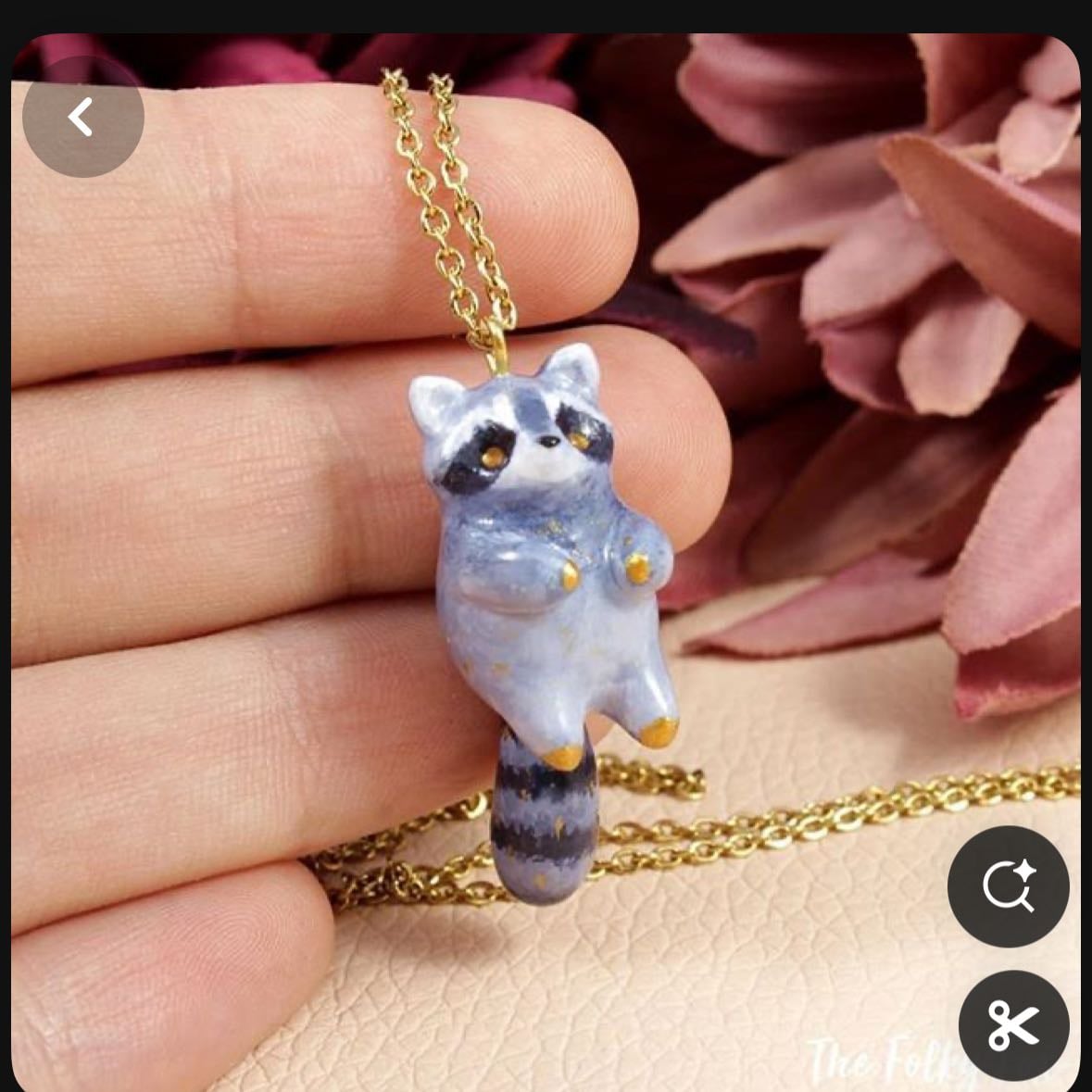 Mapache