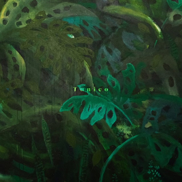 Tunico - Album · Tunico