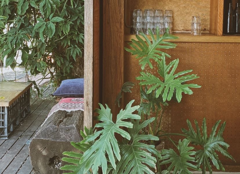 northern nsw - Places hypelist by eden