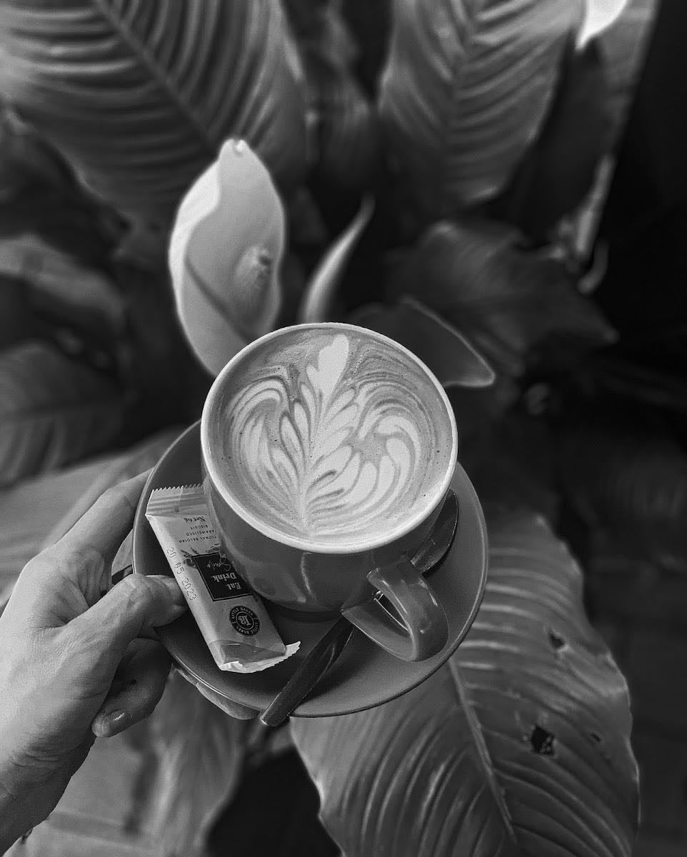Paper Moon Vegan Coffee House