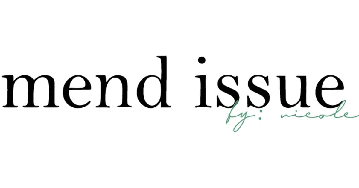 mend issue - Mend Issue