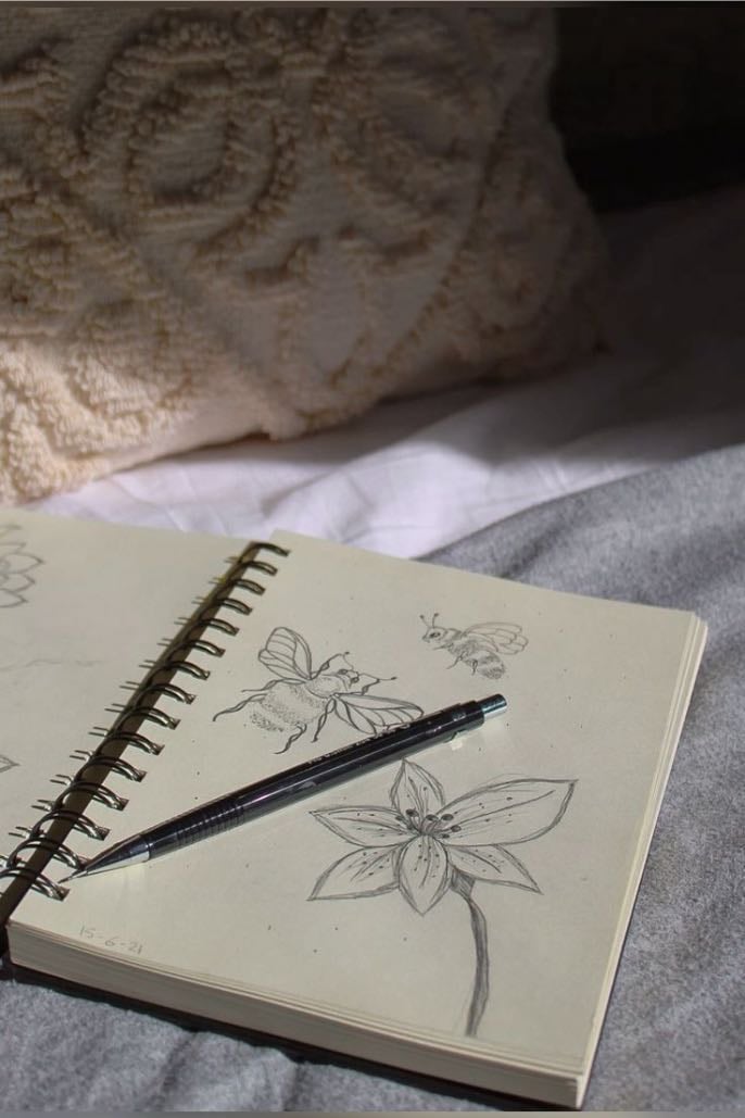 draw/sketch