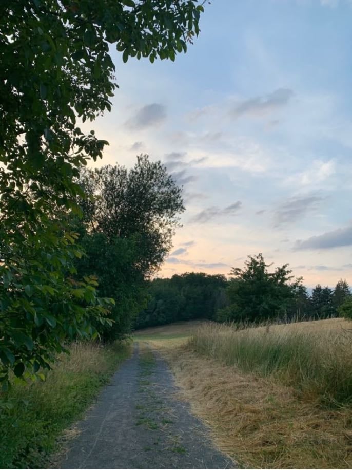 walk outside