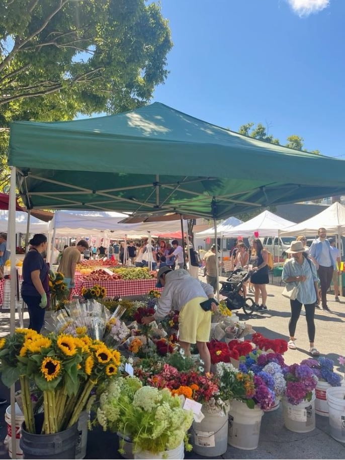 go to farmer market