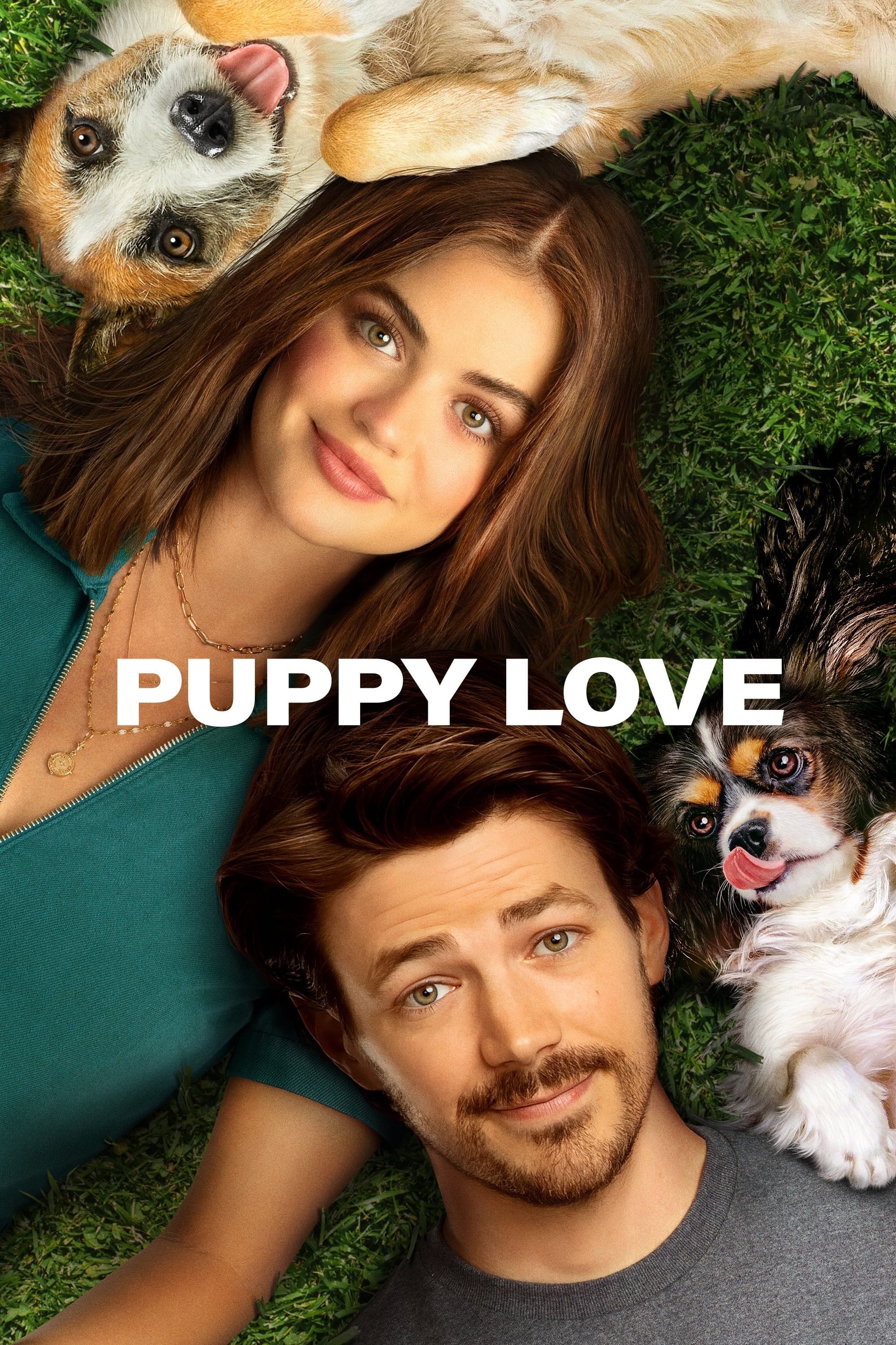 Puppy Love - Richard Alan Reid · 2023