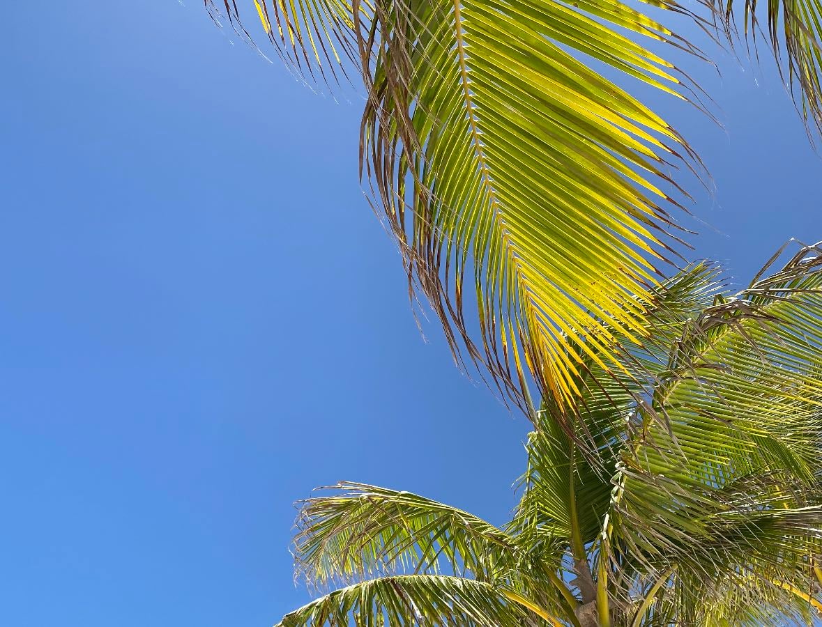 Punta Cana