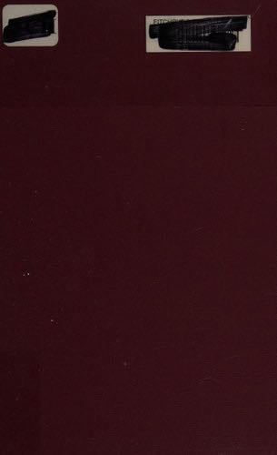 The Seine Was Red: Paris, October 1961 - Leïla Sebbar, Mildred Mortimer · 2008