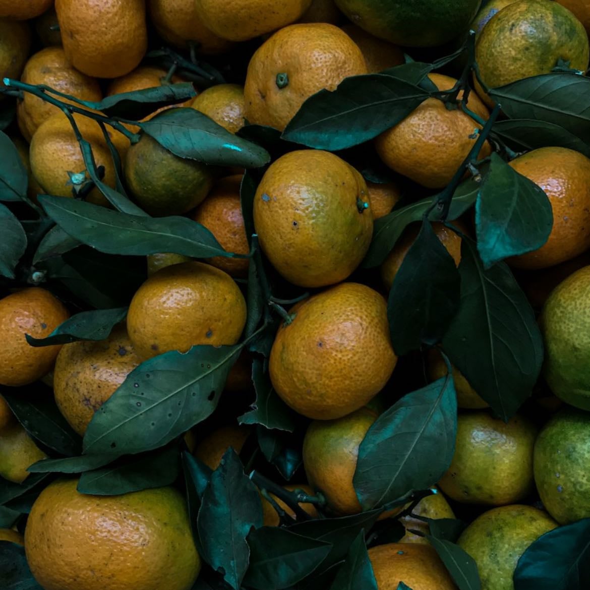 mandarina en la canasta