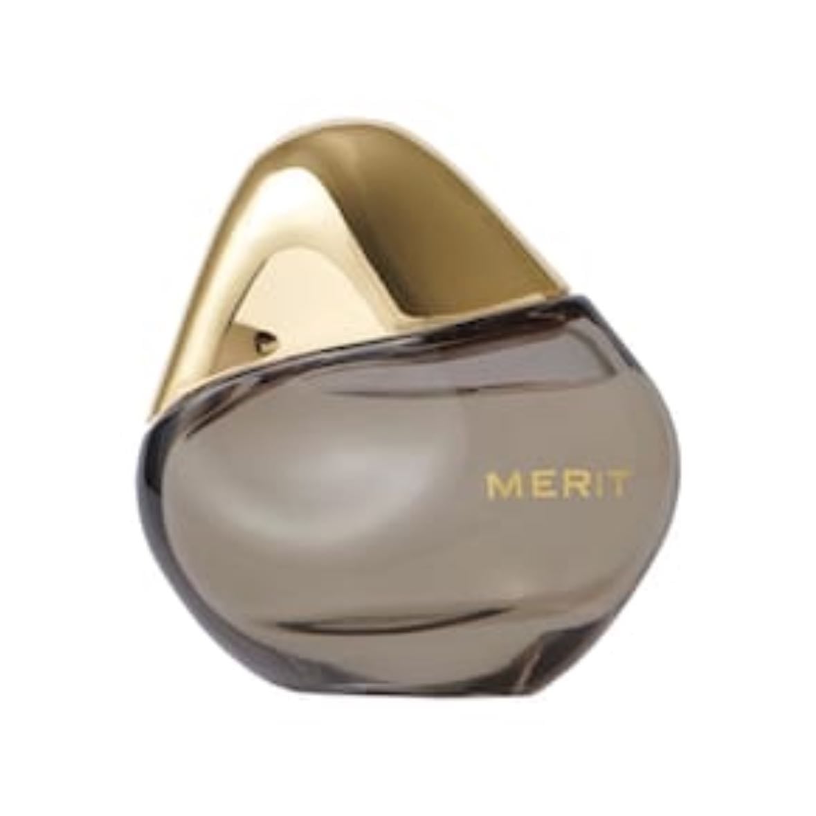 retrospect - merit