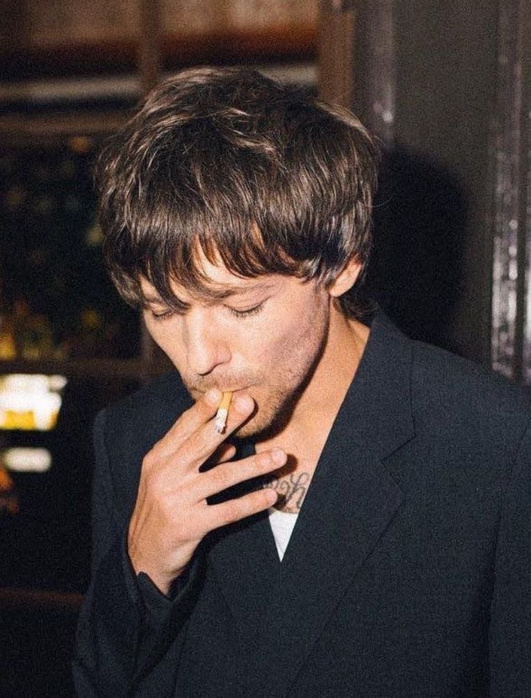 Louis Tomlinson - his 2023-2024 era>>>