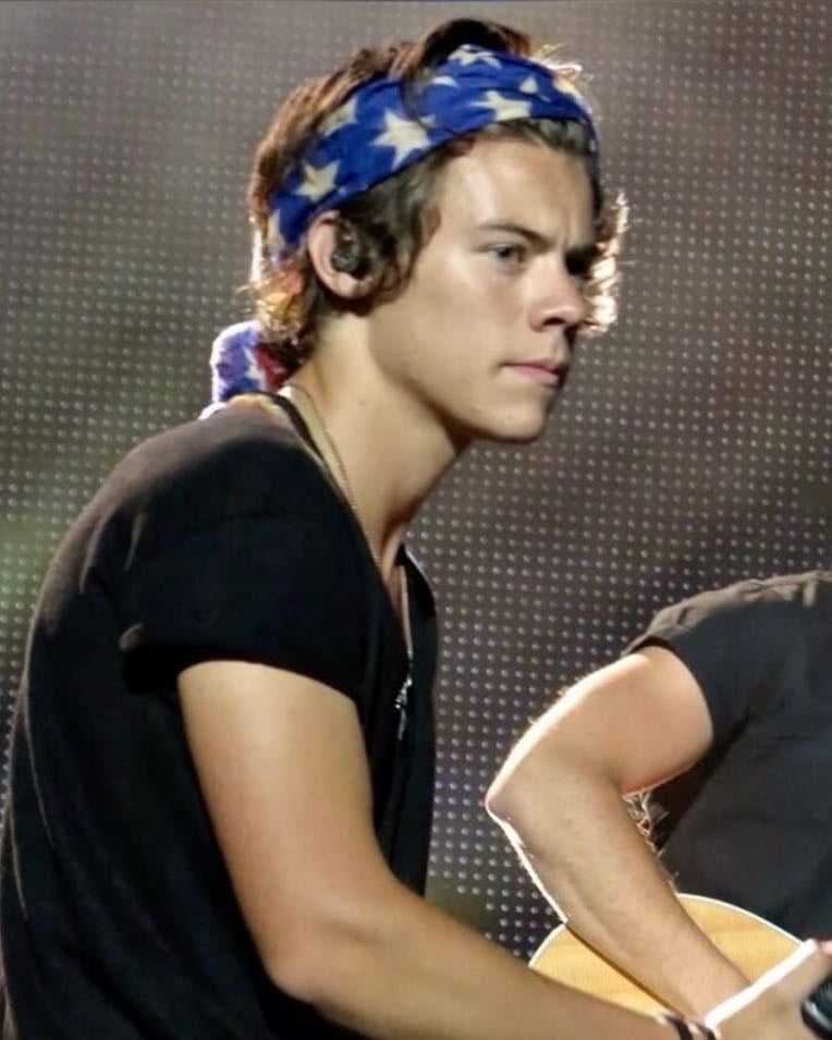 Harry Styles FRAT BOY ERA - 12 y/o me knew what was up