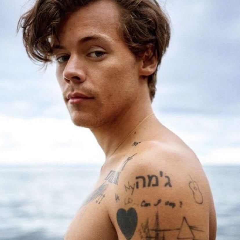 HS4 - Harry, saca HS4 en 2025