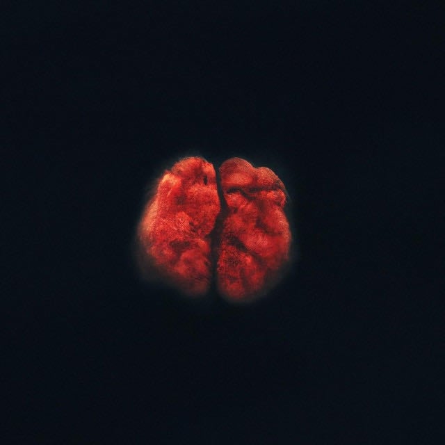 Passing Thought - Album · Arthur Hill