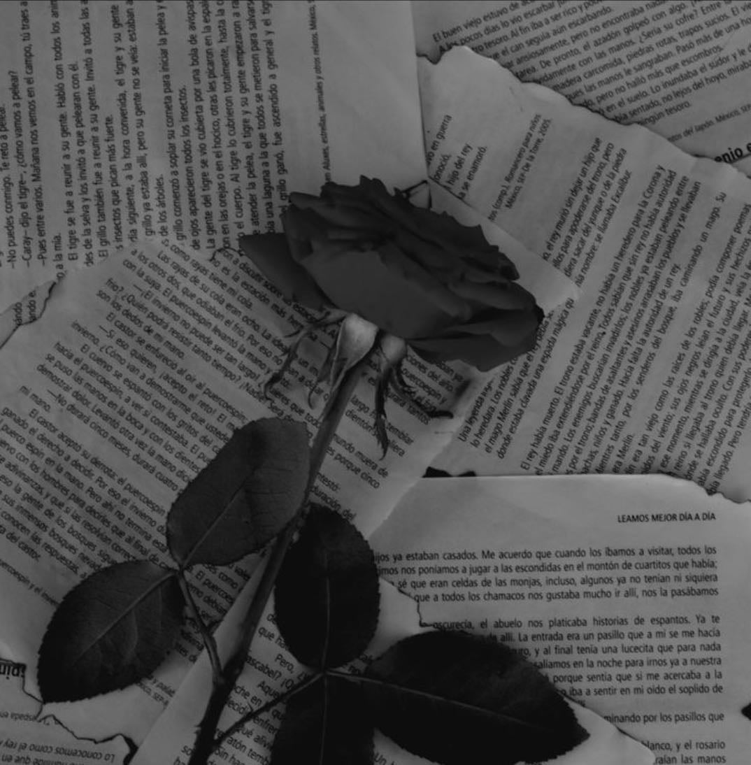 ¡books! - Books hypelist by xl