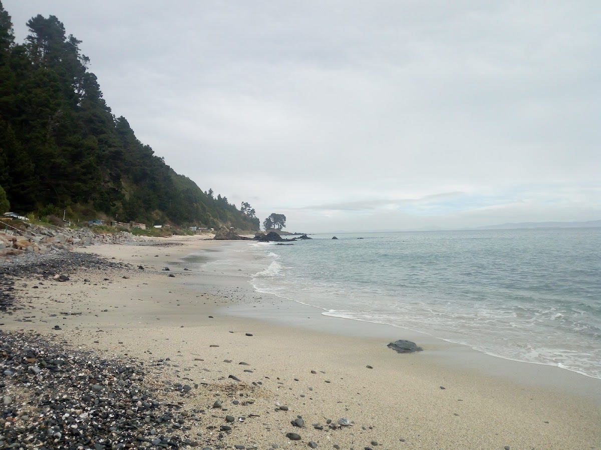 Playa Tres Pinos - Excelente para ir durante la semana. Agua clara y arena blanca. Son Aproximadamente 30 minutos caminando.