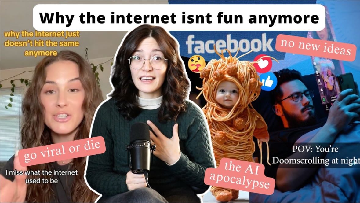 How the algorithms are erasing culture & ruining our lives - Ashley Embers