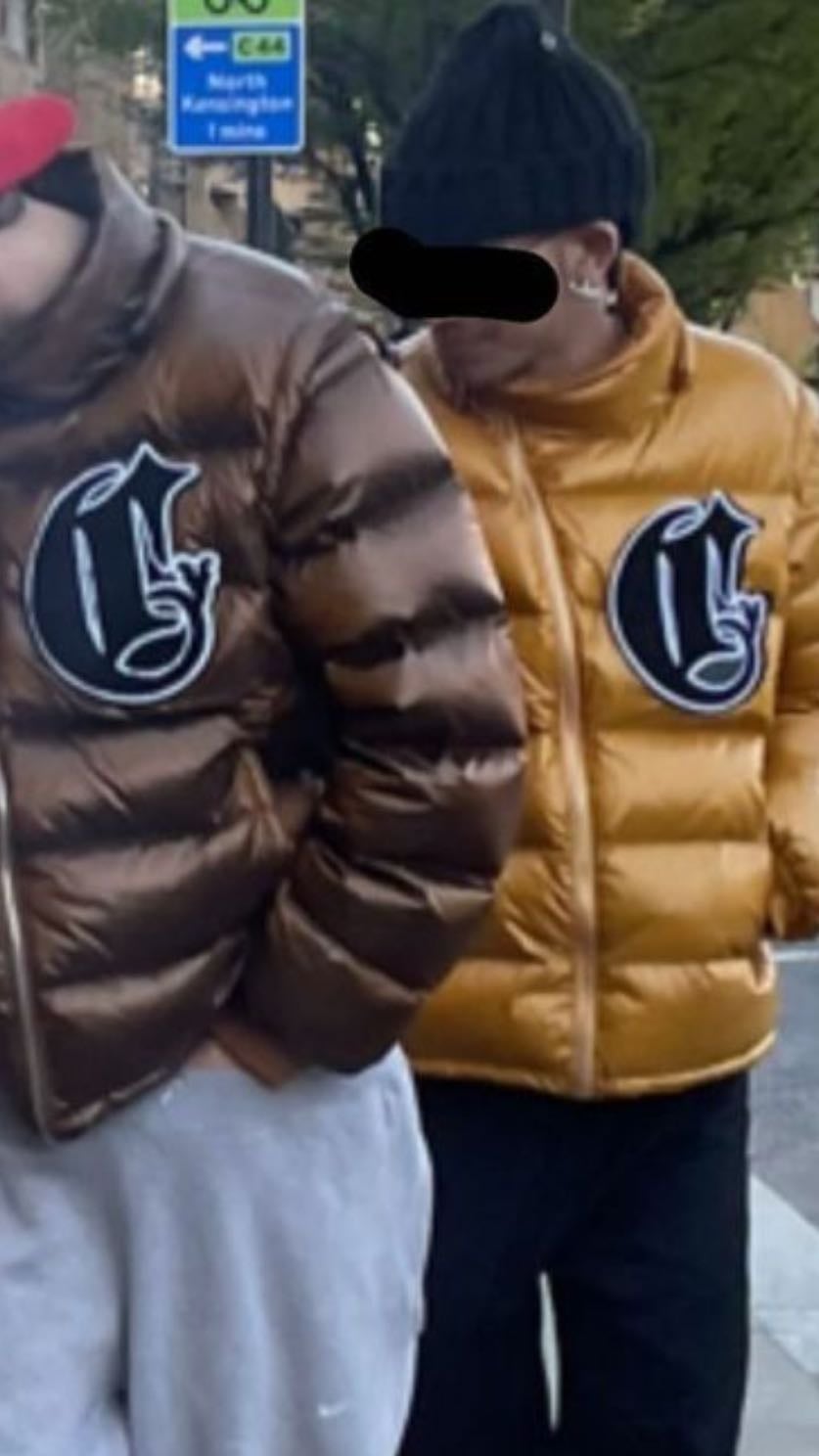Crvdae