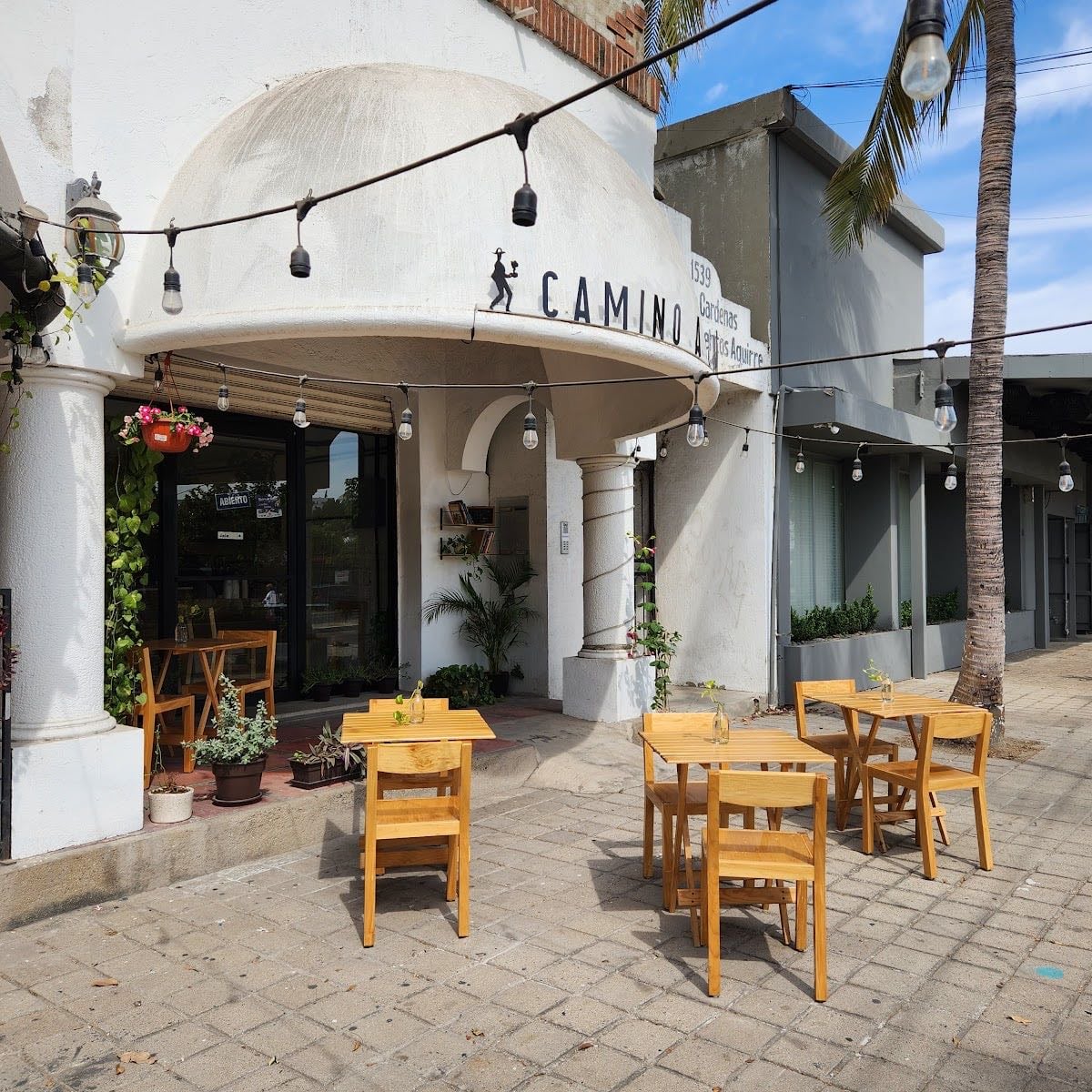 Camino a Comala: Café de Especialidad