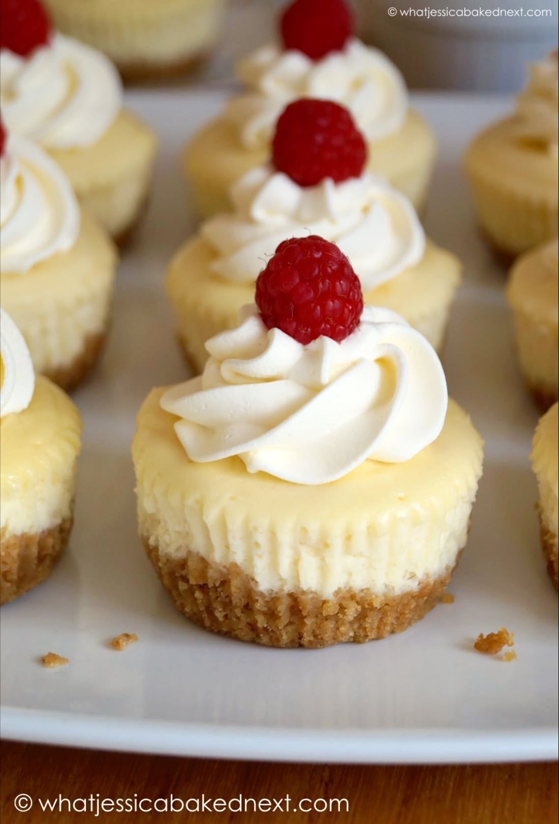 Mini cheesecake
