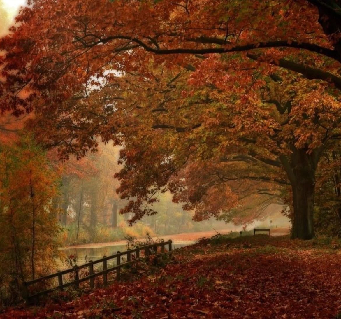 ˙٭*Fall playlist*٭˙