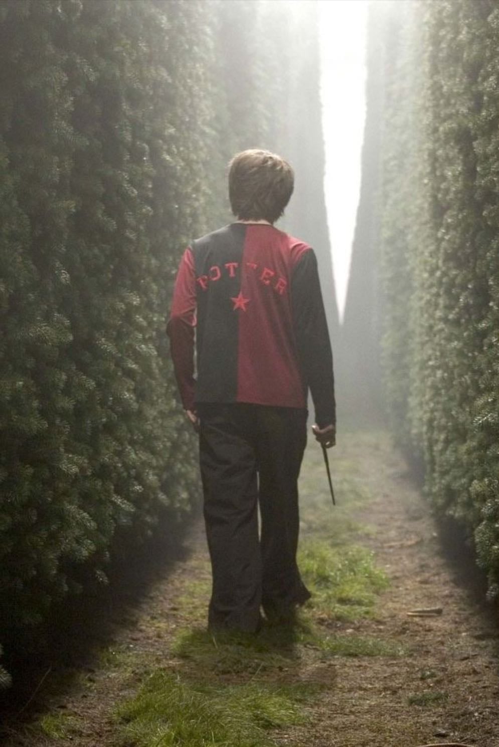 Harry Potter and the Goblet of Fire - Mike Newell · 2005