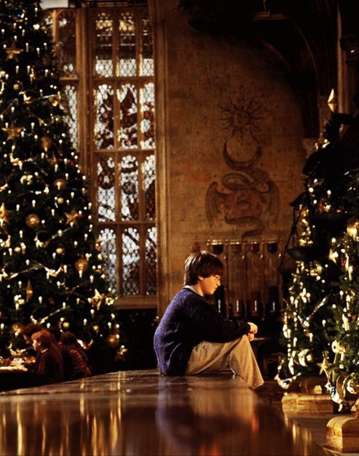 Harry Potter and the Philosopher's Stone - Chris Columbus · 2001