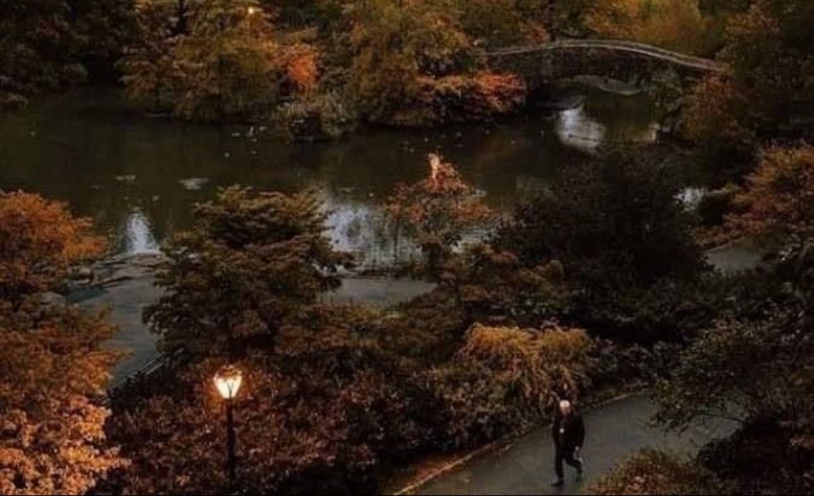 Fade Into You - Song · Mazzy Star