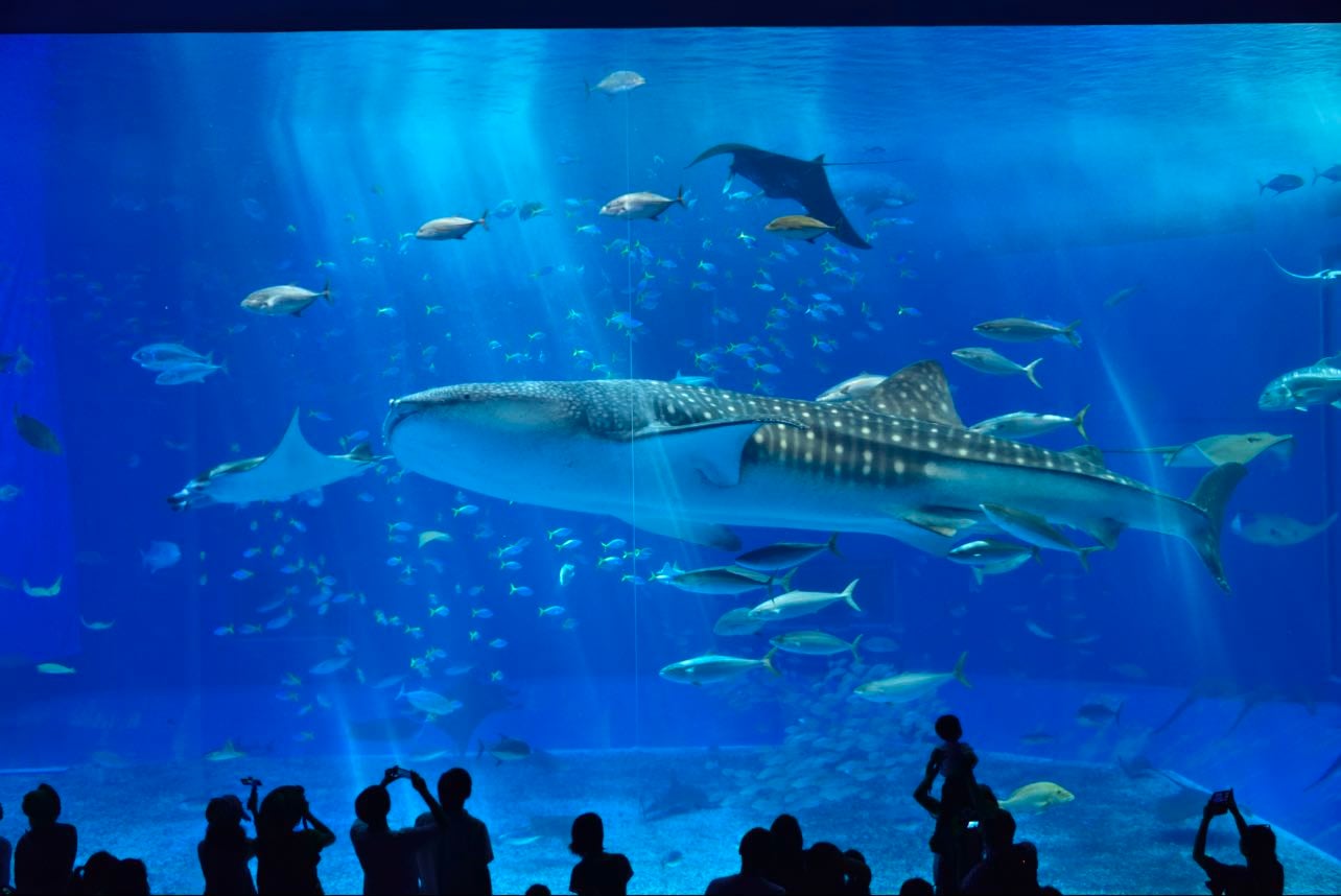 Aquarium