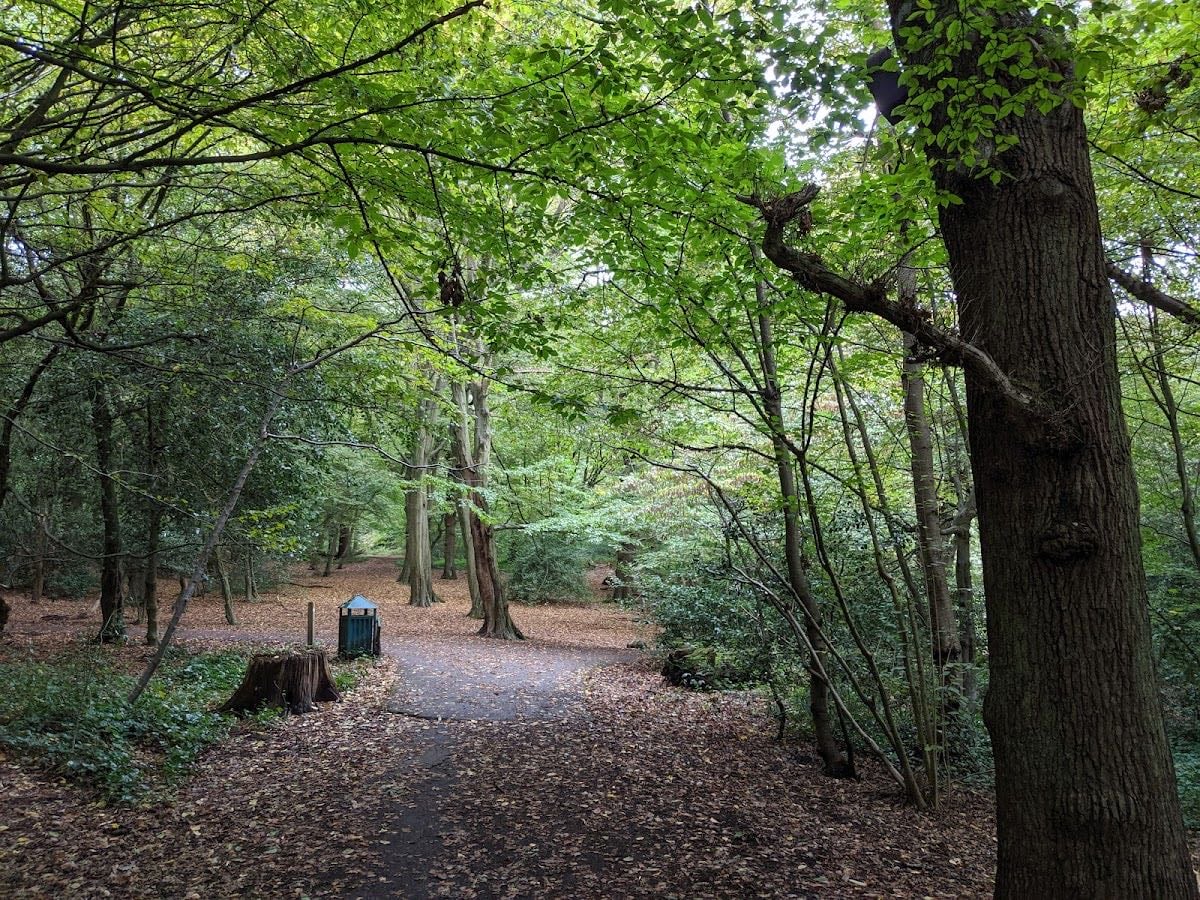 Queens Wood - haringey