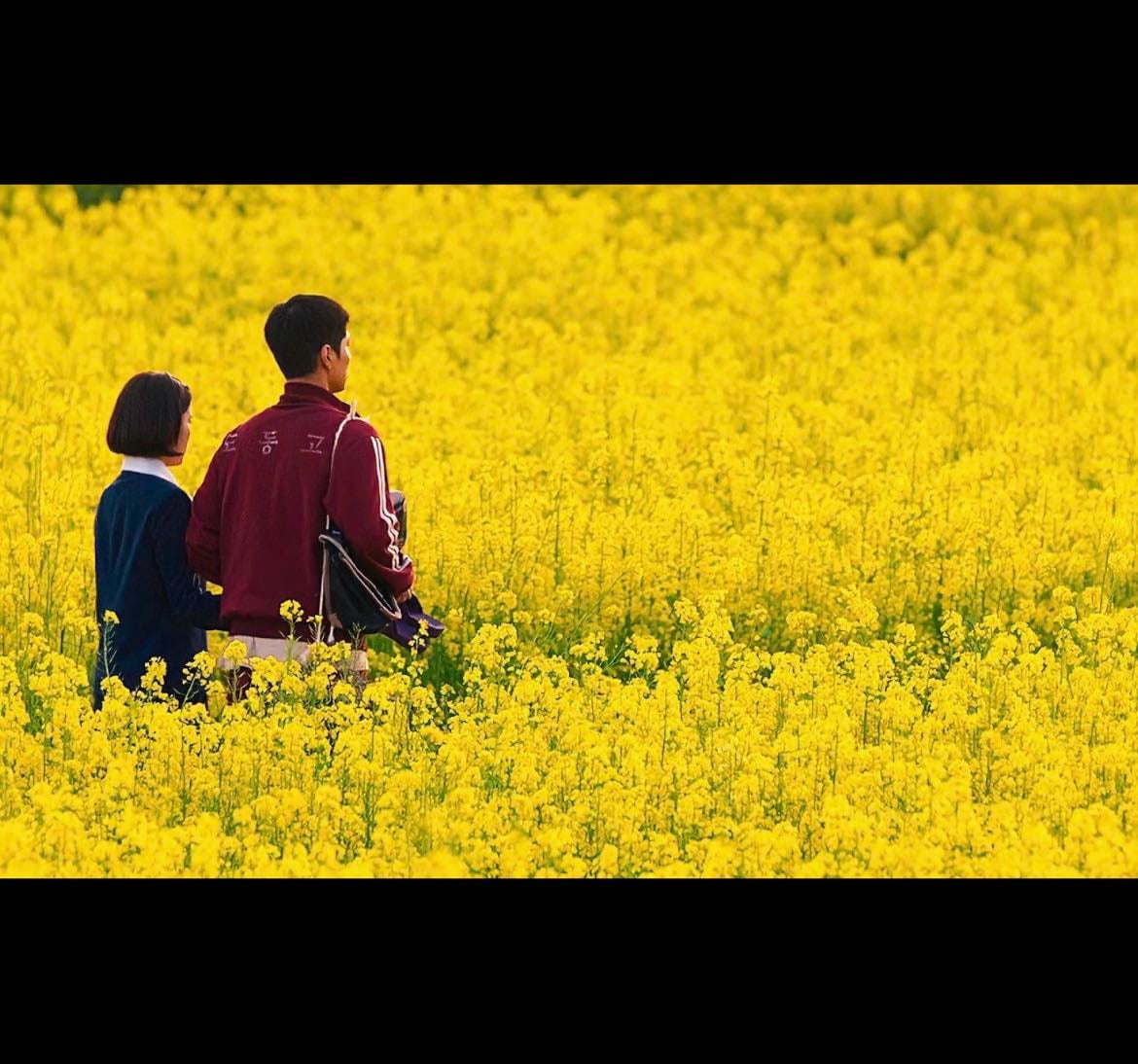 best slice of life kdramas
